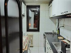 Colentina, Doamna Ghica